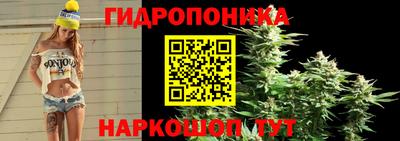 мяу мяу мука Тара