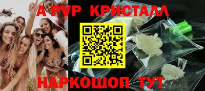 мяу мяу мука Тара