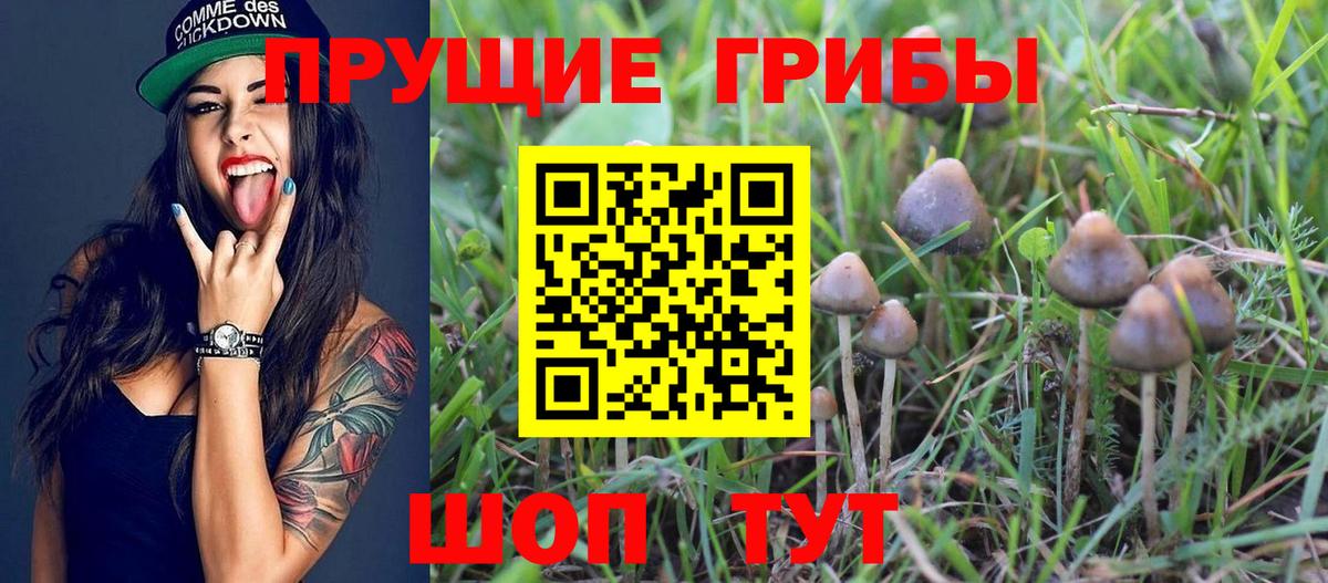 сколько стоит  Галлюциногенные грибы GOLDEN TEACHER  Вход с VPN  Строитель 