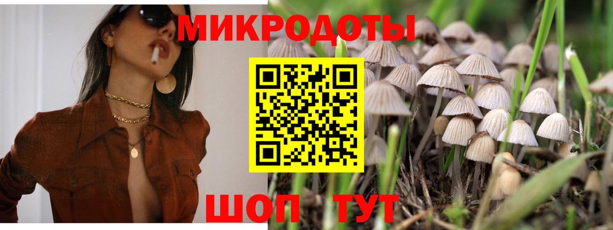 Псилоцибиновые грибы GOLDEN TEACHER Строитель